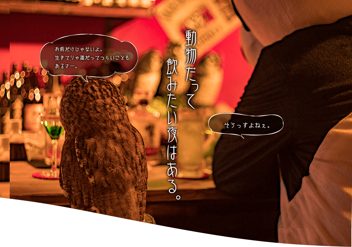 動物だって飲みたい夜はある