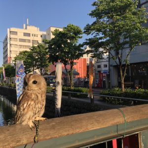 熊谷 飲み屋 スナック ぴぽろ巣